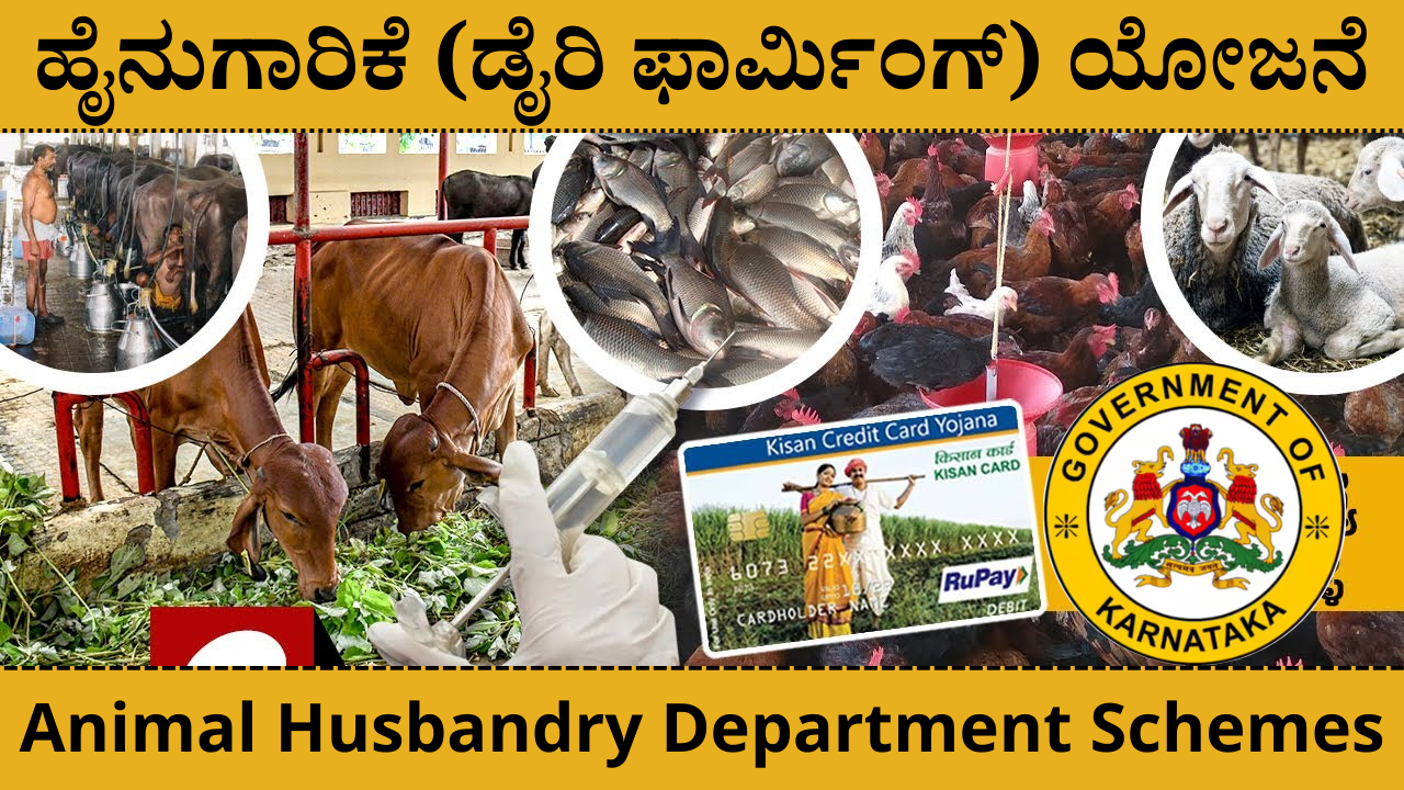 Animal Husbandry Department Schemes