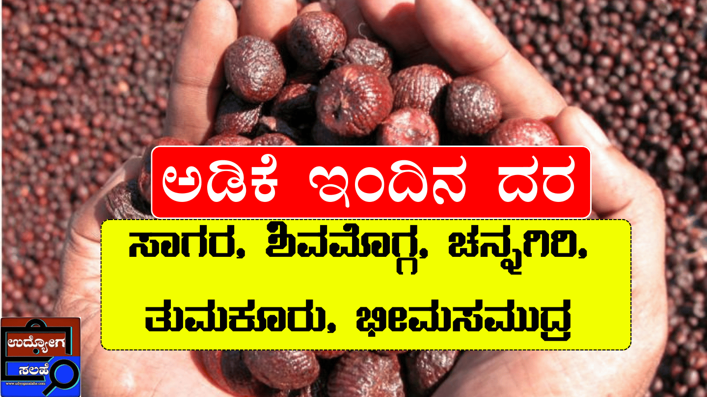Adike Rate Today Arecanut Price List In Kannada