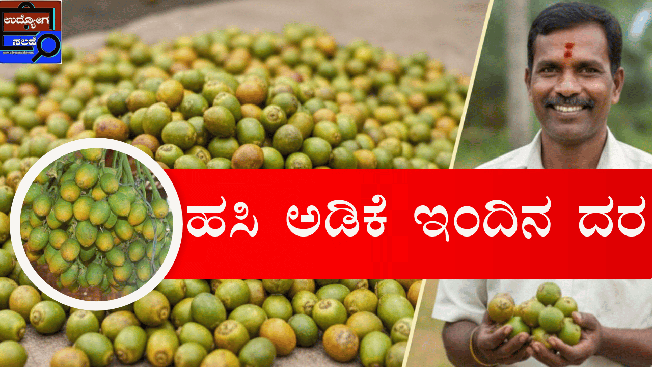 ಹಸಿ ಅಡಿಕೆ ಇಂದಿನ ದರ | Hasi Adike Rate Today