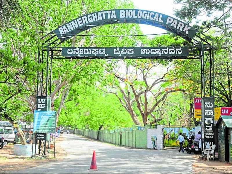 Bannerghatta Biological Park Recruitment 2026