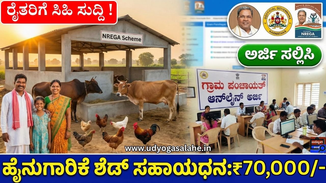 Dairy Shed Subsidy Scheme